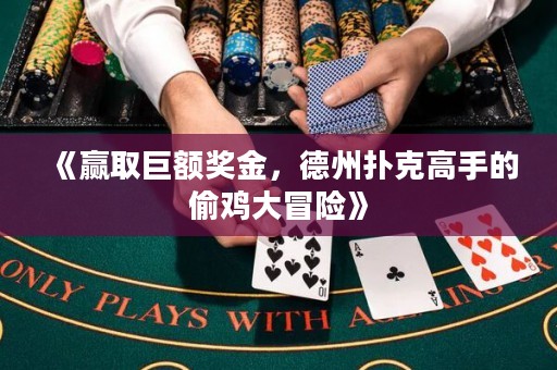《贏取巨額獎(jiǎng)金，德州撲克高手的偷雞大冒險(xiǎn)》