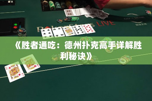 《勝者通吃：德州撲克高手詳解勝利秘訣》