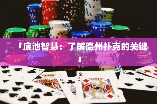 「底池智慧：了解德州撲克的關鍵」
