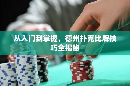從入門到掌握，德州撲克比牌技巧全揭秘