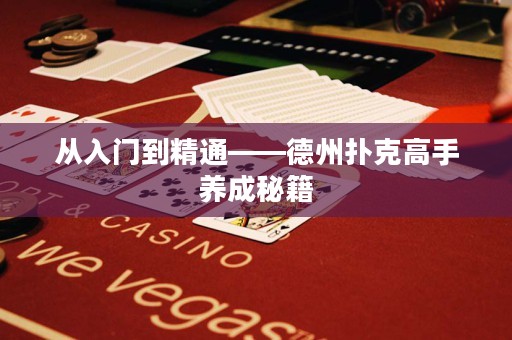 從入門到精通——德州撲克高手養(yǎng)成秘籍