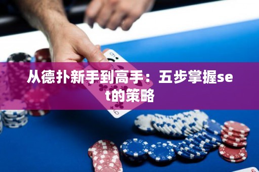 從德?lián)湫率值礁呤郑何宀秸莆誷et的策略