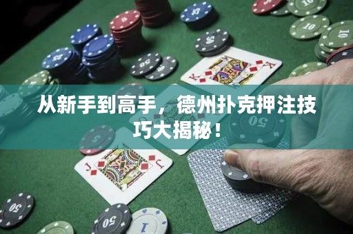 從新手到高手，德州撲克押注技巧大揭秘！