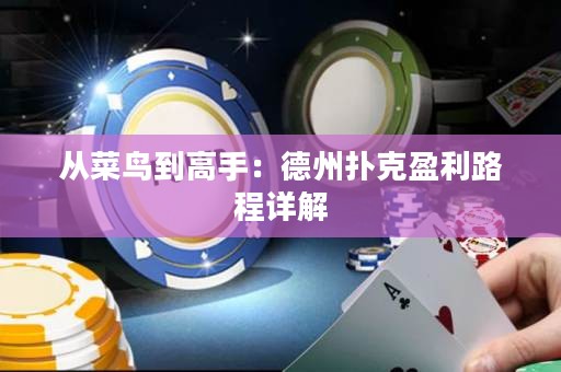 從菜鳥到高手：德州撲克盈利路程詳解