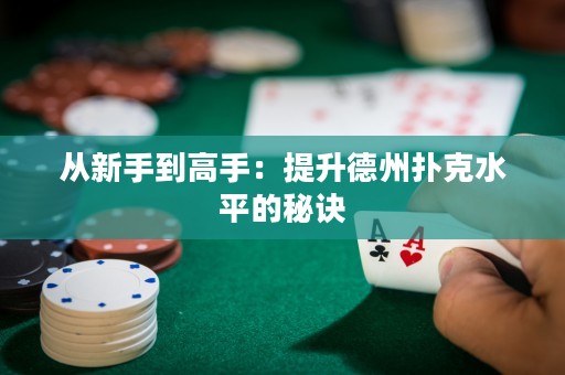 從新手到高手：提升德州撲克水平的秘訣