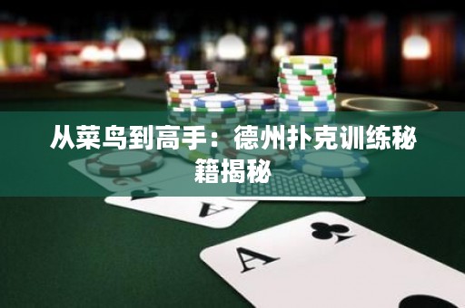 從菜鳥到高手：德州撲克訓(xùn)練秘籍揭秘