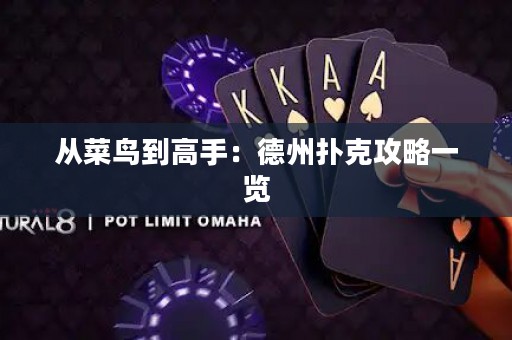 從菜鳥到高手：德州撲克攻略一覽