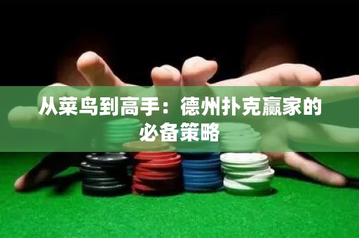 從菜鳥(niǎo)到高手：德州撲克贏家的必備策略