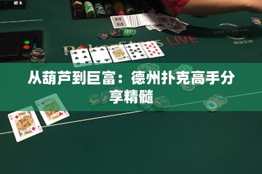 從葫蘆到巨富：德州撲克高手分享精髓