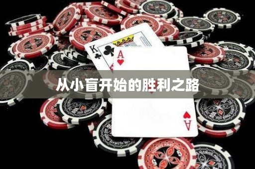 從小盲開始的勝利之路