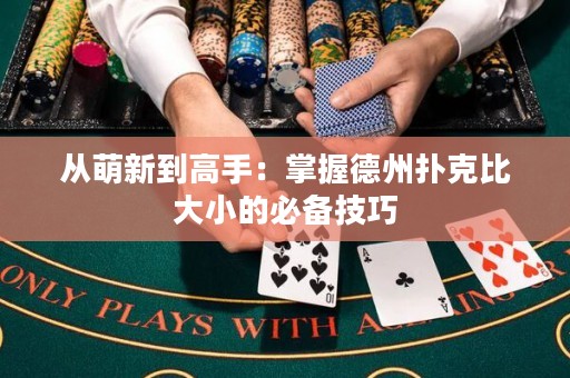 從萌新到高手：掌握德州撲克比大小的必備技巧