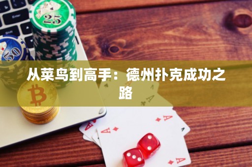 從菜鳥(niǎo)到高手：德州撲克成功之路