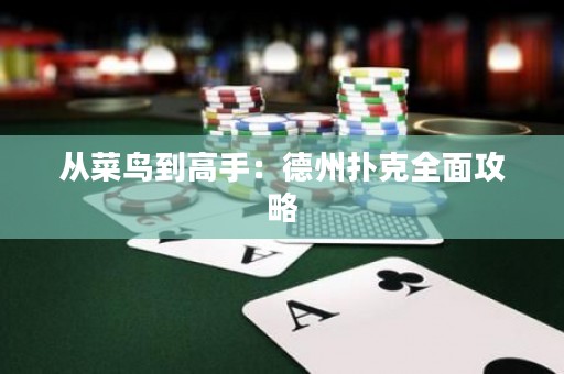 從菜鳥到高手：德州撲克全面攻略