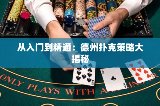 從入門到精通：德州撲克策略大揭秘