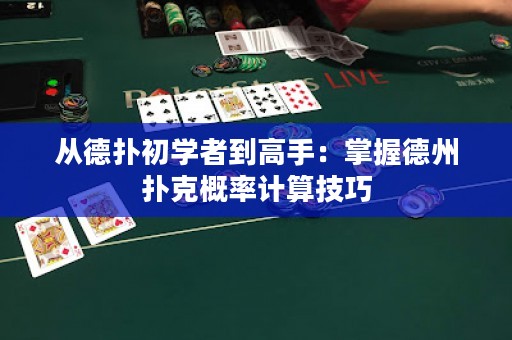 從德?lián)涑鯇W(xué)者到高手：掌握德州撲克概率計(jì)算技巧