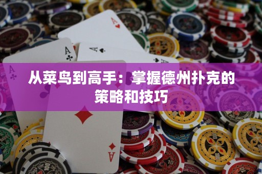 從菜鳥到高手：掌握德州撲克的策略和技巧