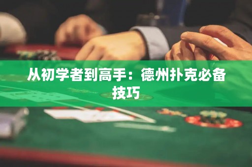 從初學(xué)者到高手：德州撲克必備技巧