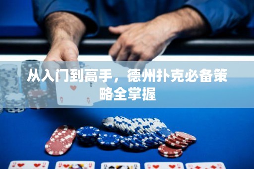 從入門到高手，德州撲克必備策略全掌握