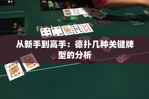 從新手到高手：德?lián)鋷追N關(guān)鍵牌型的分析