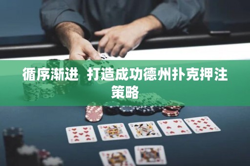 循序漸進(jìn)  打造成功德州撲克押注策略