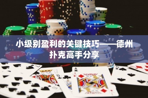 小級(jí)別盈利的關(guān)鍵技巧——德州撲克高手分享