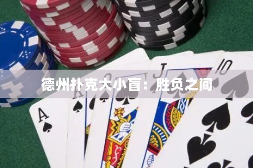 德州撲克大小盲：勝負(fù)之間