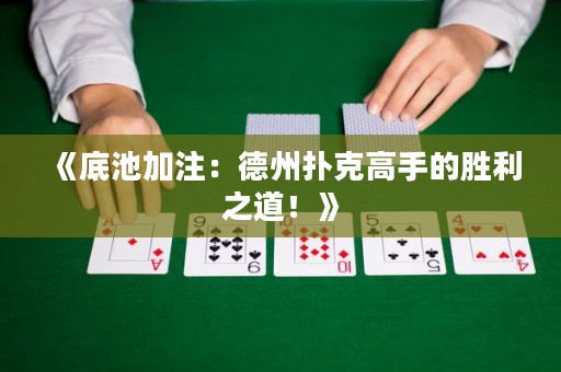 《底池加注：德州撲克高手的勝利之道！》