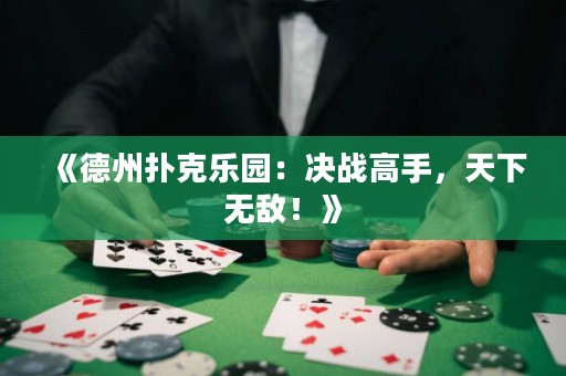 《德州撲克樂(lè)園：決戰(zhàn)高手，天下無(wú)敵！》