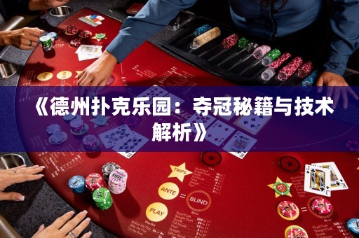 《德州撲克樂(lè)園：奪冠秘籍與技術(shù)解析》