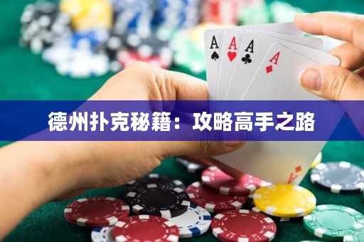 德州撲克秘籍：攻略高手之路