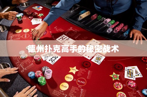 德州撲克高手的秘密戰(zhàn)術(shù)