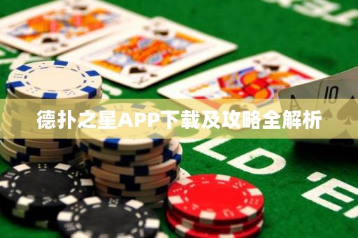 德?lián)渲茿PP下載及攻略全解析