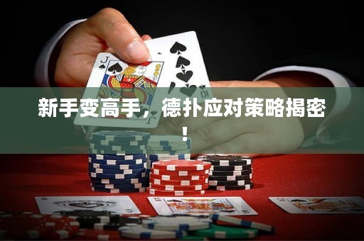 新手變高手，德?lián)鋺?yīng)對策略揭密！