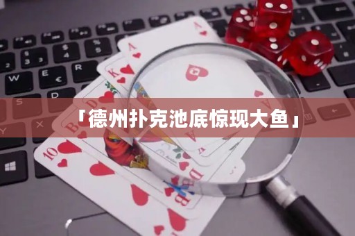 「德州撲克池底驚現(xiàn)大魚」