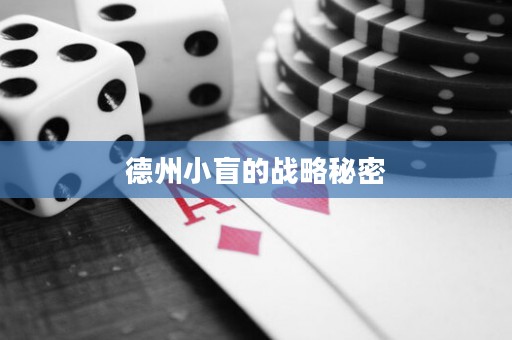 德州小盲的戰(zhàn)略秘密