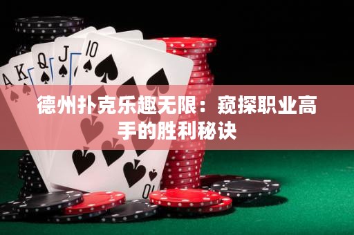 德州撲克樂趣無限：窺探職業(yè)高手的勝利秘訣
