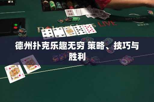 德州撲克樂趣無窮 策略、技巧與勝利