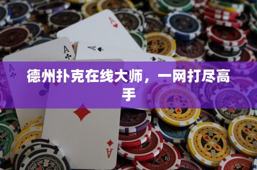 德州撲克在線大師，一網(wǎng)打盡高手