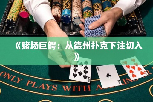 《賭場巨鱷：從德州撲克下注切入》