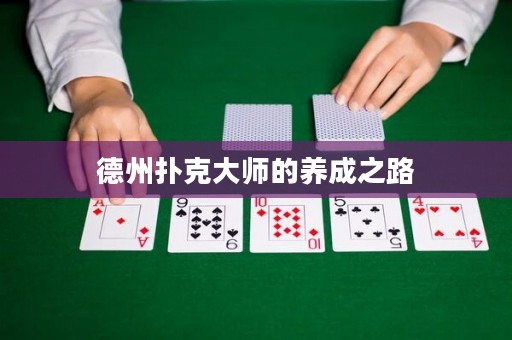 德州撲克大師的養(yǎng)成之路