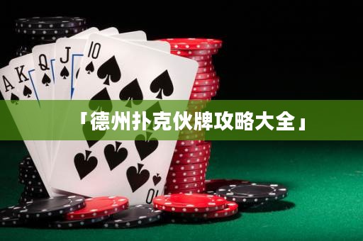 「德州撲克伙牌攻略大全」
