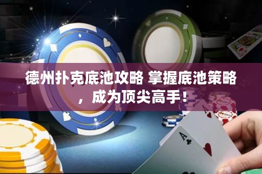 德州撲克底池攻略 掌握底池策略，成為頂尖高手！
