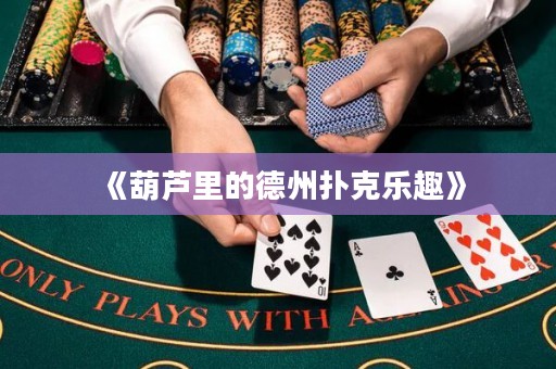 《葫蘆里的德州撲克樂(lè)趣》