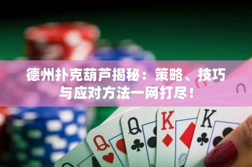 德州撲克葫蘆揭秘：策略、技巧與應對方法一網打盡！