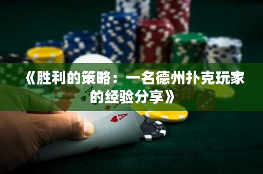 《勝利的策略：一名德州撲克玩家的經(jīng)驗(yàn)分享》