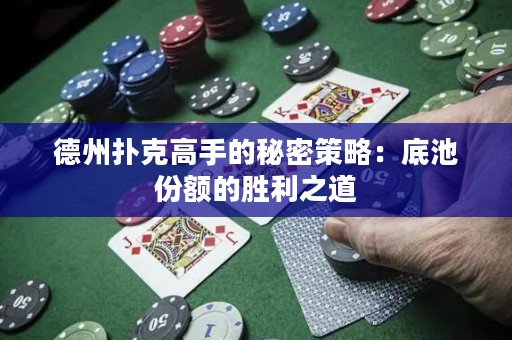 德州撲克高手的秘密策略：底池份額的勝利之道