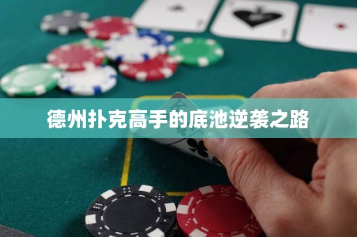 德州撲克高手的底池逆襲之路