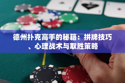 德州撲克高手的秘籍：拼牌技巧、心理戰(zhàn)術(shù)與取勝策略