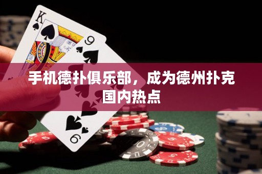 手機(jī)德?lián)渚銟凡浚蔀榈轮輷淇藝鴥?nèi)熱點(diǎn)