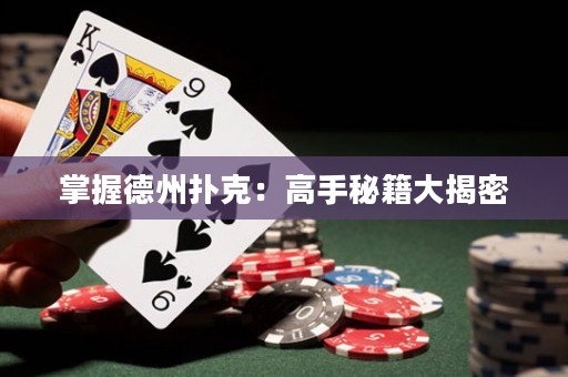 掌握德州撲克：高手秘籍大揭密
